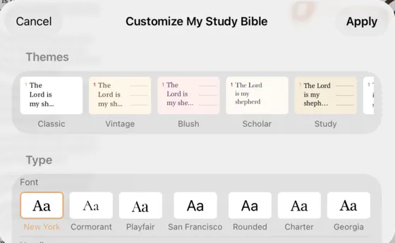 The Customize sheet on iPad with Themes (Classic, Vintage, Blush, Scholar, Study) and the Font choices