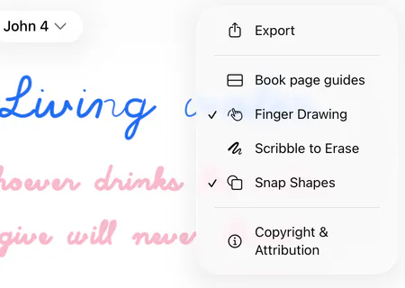 The menu that opens from More options at the top right of a Bible page, with Finger Drawing turned on