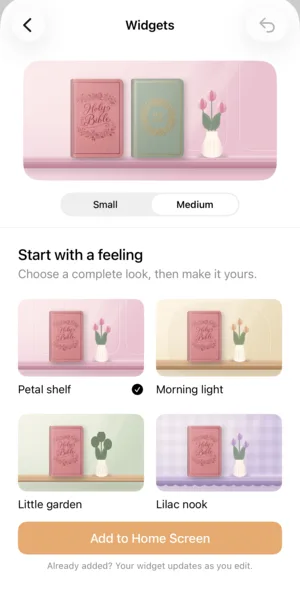 The Widgets screen on iPhone: a pink shelf holding two Bibles, Small and Medium sizes, looks such as Petal shelf and Morning light, and the Add to Home Screen button