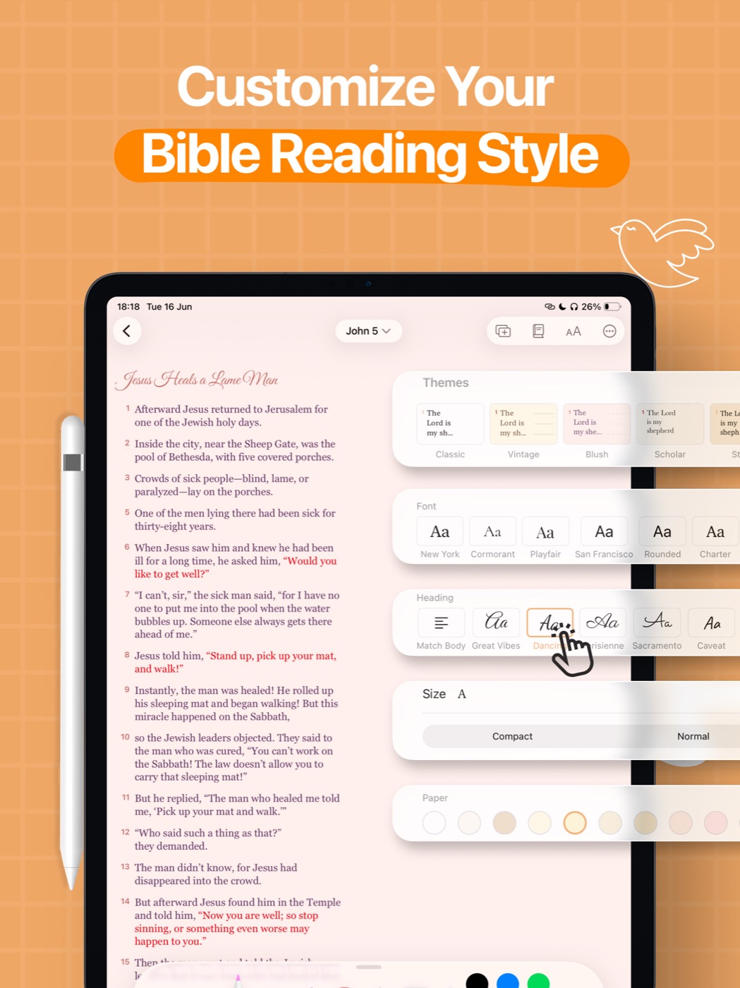 Digible's Style Studio on iPad showing theme, font, heading and paper colour options over John 5